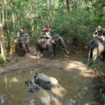 Parc national de Chitwan pour voir les rhinocéros